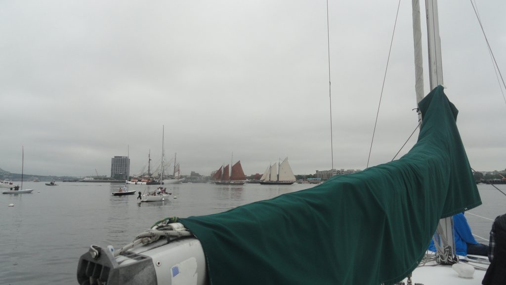 2012 tallship parade