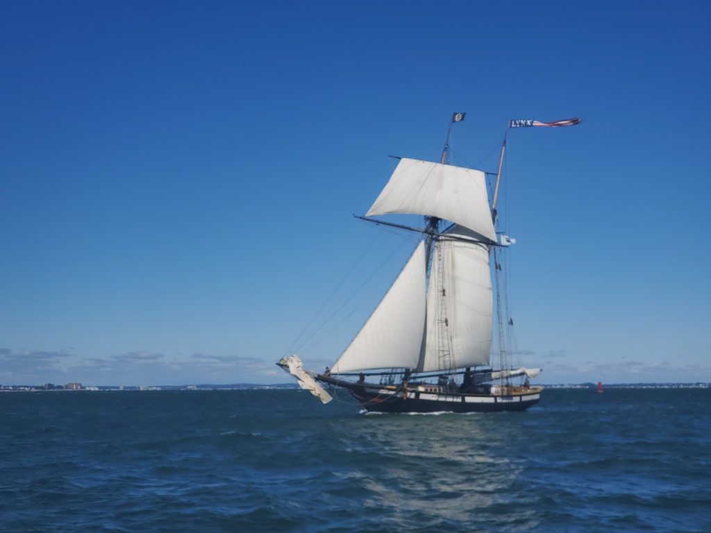 Tallship Lynx outside Deer Island